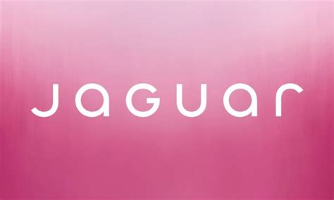 Rebranding the cougar: How a new wave of older women with .
